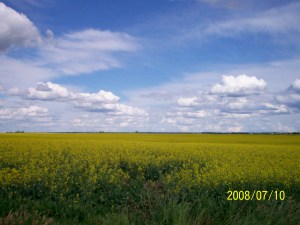 Off the Josephburg Road