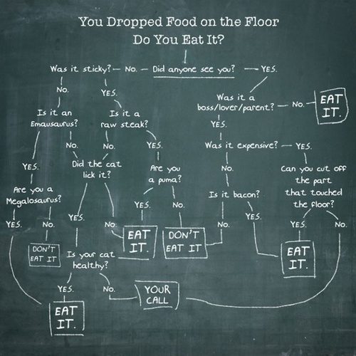500x_so-you-dropped-your-food-on-the-floor-do-you-eat--31945-1286204712-8